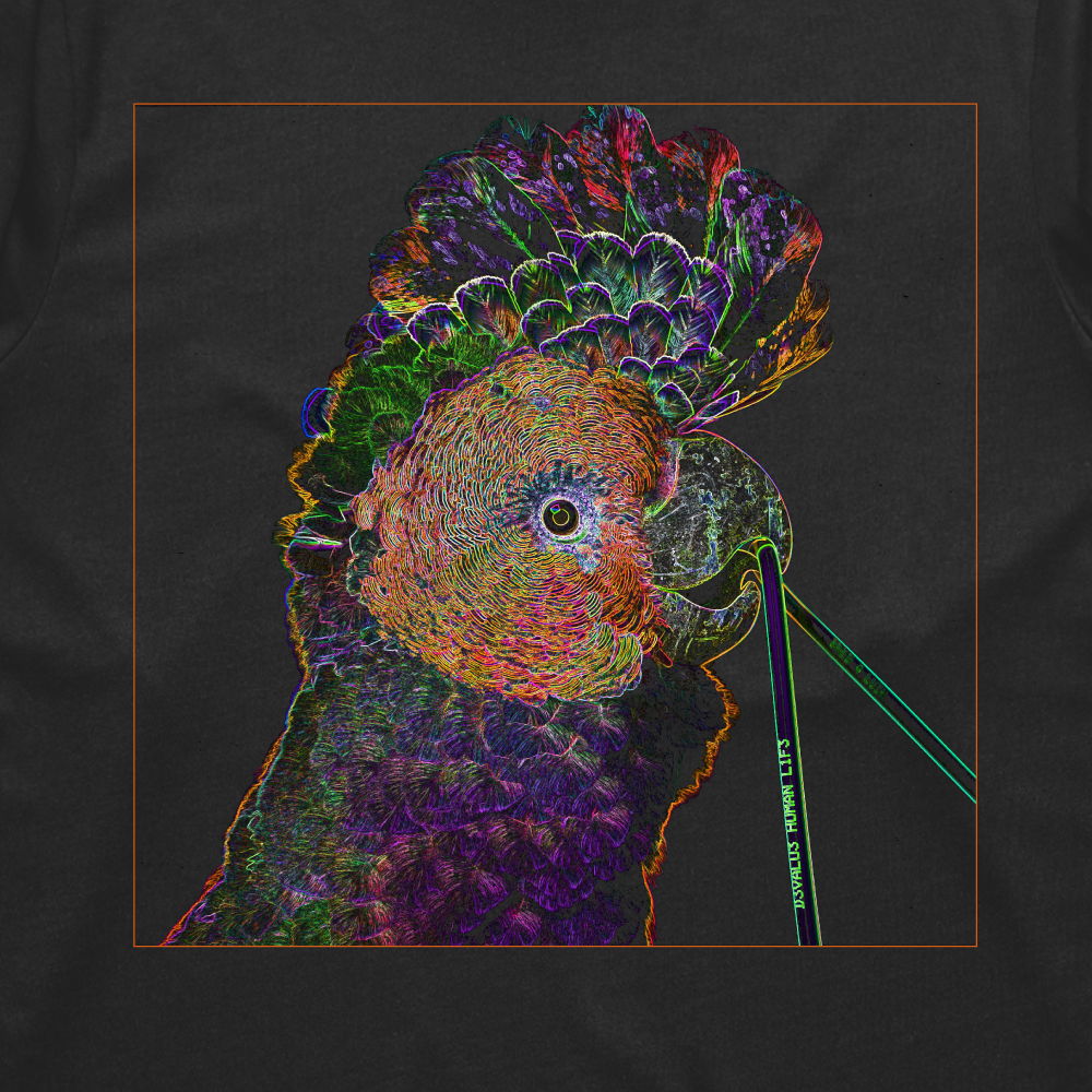 Cockatoo (Black Longsleeve T-Shirt)